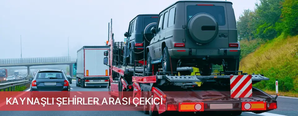 Kaynaşlı İlçemi Şehirler Arası Çekici